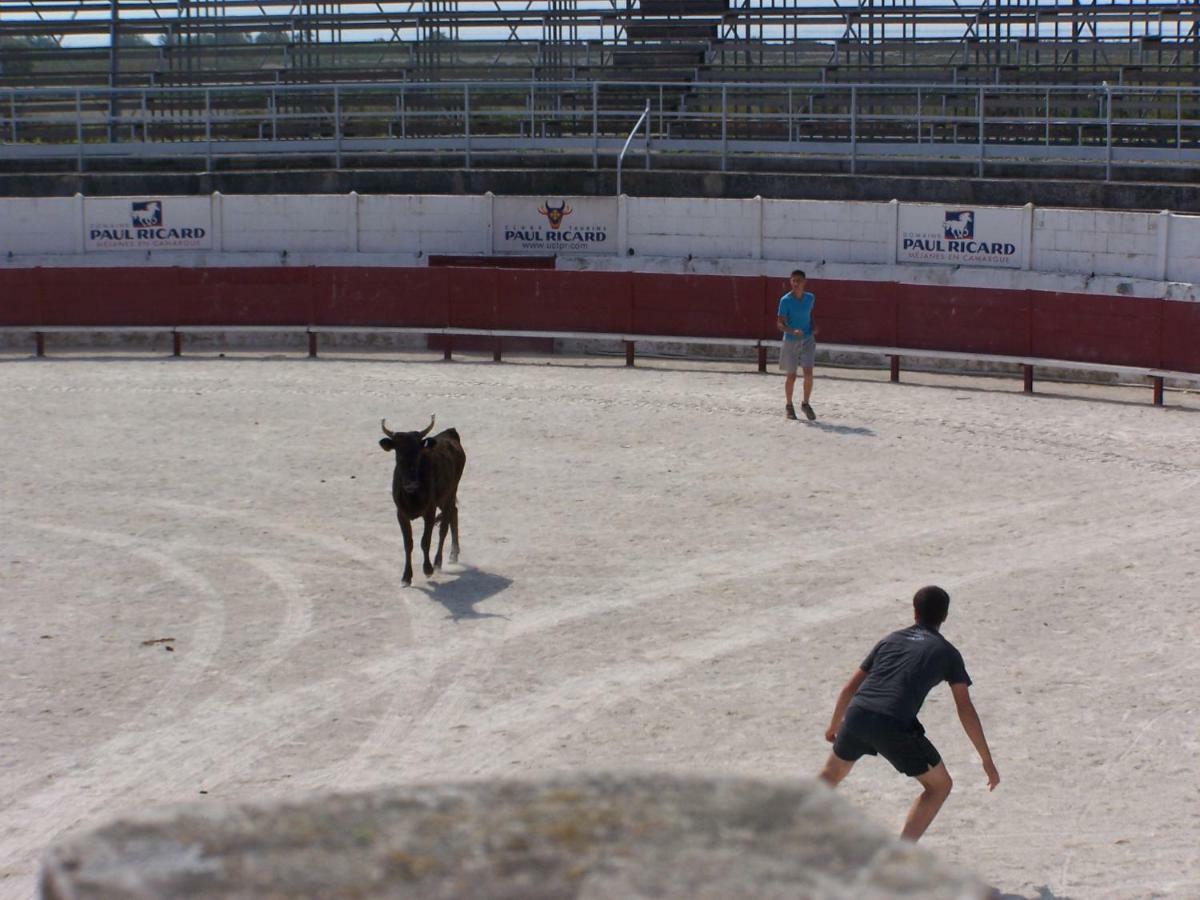 Mas Dou L'Estele Chambre D'Hotes Arles Exteriér fotografie